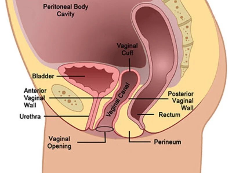 Exploring The Visuals: What Does A Vaginal Cuff Look Like