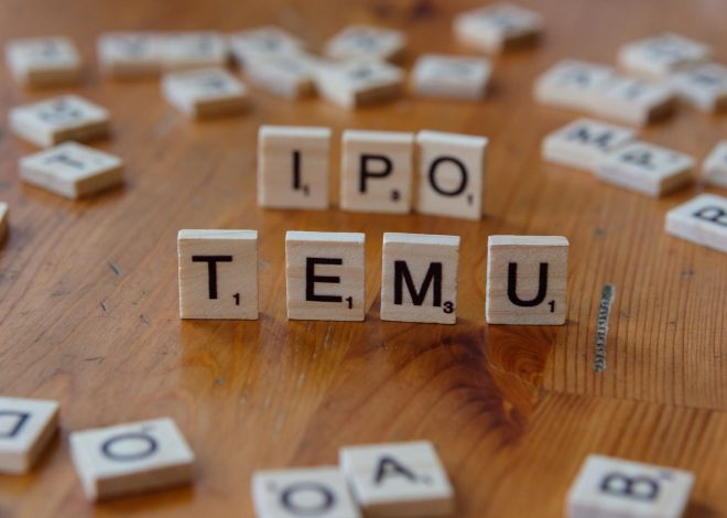 Manipal Payment IPO: The Best Investment Opportunity Ahead