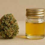 Cannabis bud beside a jar of golden cannabis oil on a neutral background