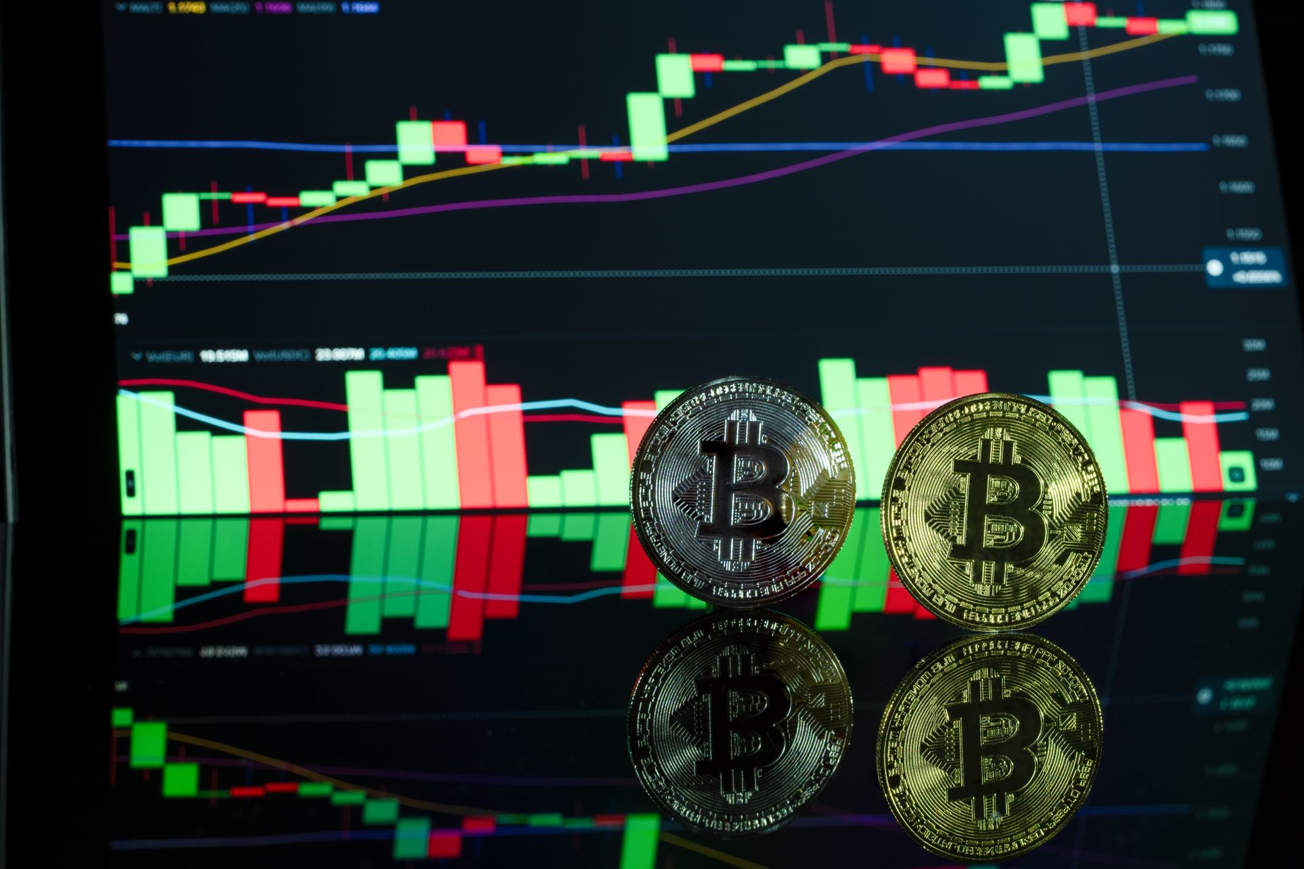 Crypto Bear Market: The Worst Reasons Prices Are Falling