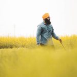 Punjab farmers loan terms