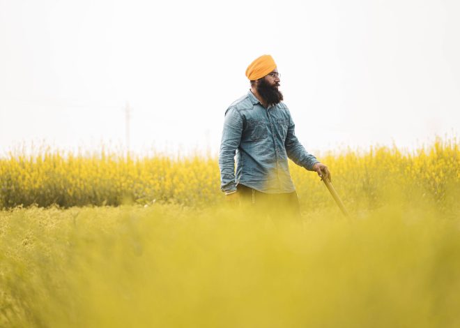 Punjab Farmers Face Tough Loan Terms: The Real Impact